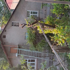 Miron Bajigyev