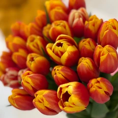 Таисия Максимова