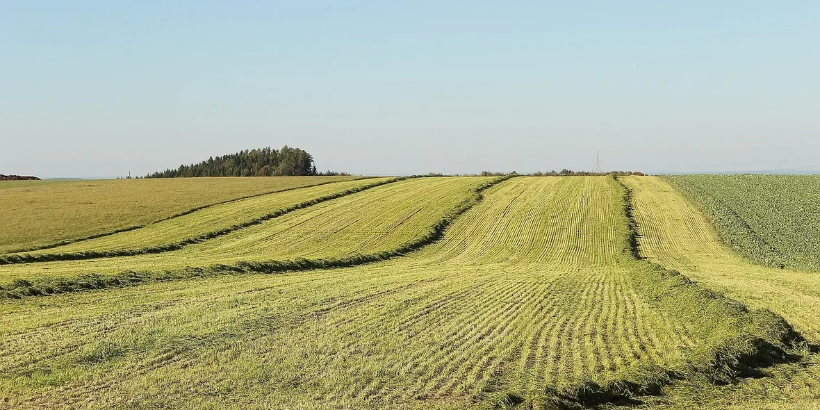 Сельскохозяйственные земли