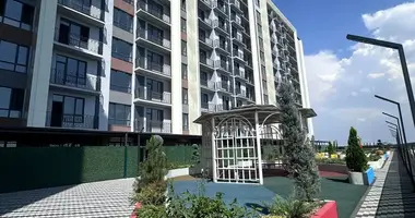 Kvartira 2 xonalar _just_in Toshkent, Oʻzbekiston