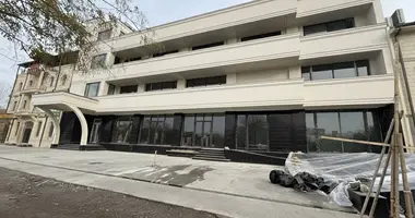 Коммерческое помещение 821 м² в Ташкент, Узбекистан