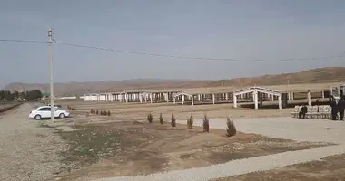 Mol,Dehqon bozori hamda parrandachilik va chorvachilik kompleksi hammasi birga sotiladi _just_in Oʻzbekiston