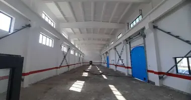 Аренда производственно-складского комплекса 2545 м²   _just_in Toshkent, Oʻzbekiston