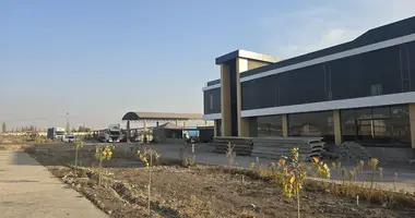 Tashkil etilgan biznes 20 000 m² _just_in Almalyk, Oʻzbekiston