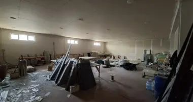 Производство 1 000 м² в Ташкент, Узбекистан