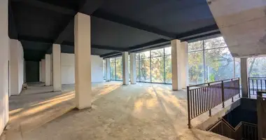Tijorat _just_in Toshkent, Oʻzbekiston