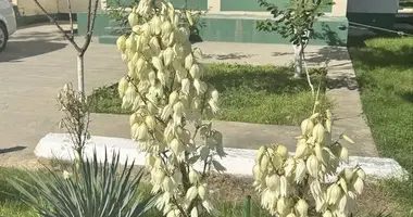 Kvartira 3 xonalar _just_in Toshkent, Oʻzbekiston