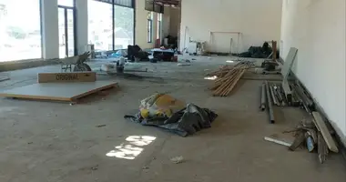 Коммерческое помещение 379 м² в Бостанлыкский район, Узбекистан