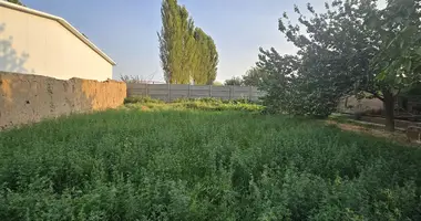 Yer uchastkasi _just_in Mehnat, Oʻzbekiston