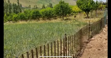 Yer uchastkasi _just_in Bostanlik district, Oʻzbekiston