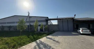 Коммерческое помещение 1 100 м² в Ташкент, Узбекистан