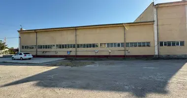 💥Хранение и производства в Ташкент, Узбекистан