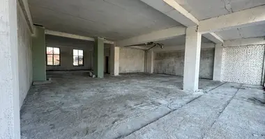 Коммерческое помещение 243 м² в Ташкент, Узбекистан