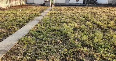 Yer uchastkasi _just_in Tinchlik, Oʻzbekiston