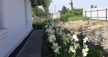 Uy 5 xonalar _just_in Yangi hayot, Oʻzbekiston