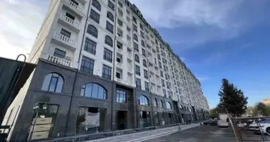 Коммерческое помещение 914 м² в Ташкент, Узбекистан