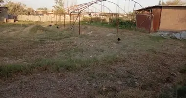 Uy 10 000 xonalar _just_in Gulistan, Oʻzbekiston