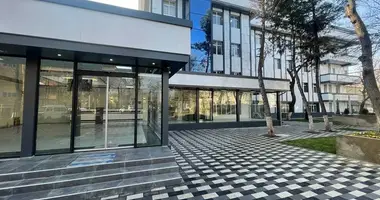 Tijorat _just_in Toshkent, Oʻzbekiston