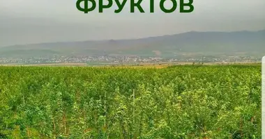 Yer uchastkasi _just_in Tashkent Region, O‘zbekiston