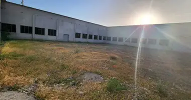 Коммерческое помещение 8 000 м² в Самарканд, Узбекистан