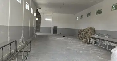 Сдаётся помещение 544 кв.м — склад / производство  в Ташкент, Узбекистан