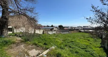 Yer uchastkasi _just_in Toshkent, Oʻzbekiston