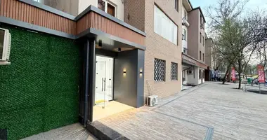 Tijorat 50 m² _just_in Toshkent, Oʻzbekiston