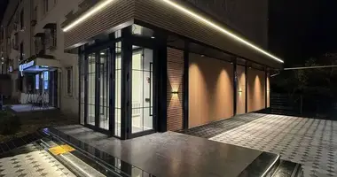 Коммерческое помещение 53 м² в Ташкент, Узбекистан