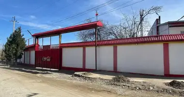 Коммерческое помещение 484 м² в Назарбек, Узбекистан
