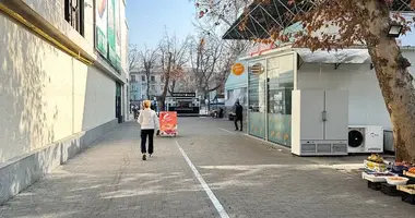 Yer uchastkasi _just_in Toshkent, Oʻzbekiston