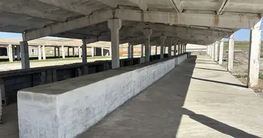 Tijorat _just_in Konimex tumani, Oʻzbekiston