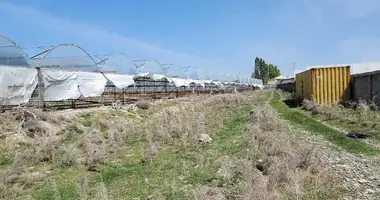 Коммерческое помещение 30 000 м² в Самарканд, Узбекистан