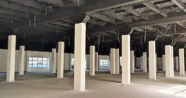 Коммерческое помещение 12 816 м² в Ташкент, Узбекистан