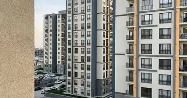 Kvartira _just_in Toshkent, Oʻzbekiston