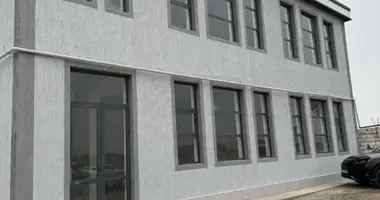Коммерческое помещение 245 м² в Ташкент, Узбекистан