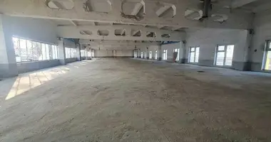 Коммерческое помещение 1 200 м² в Ташкент, Узбекистан