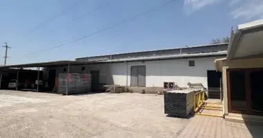 Коммерческое помещение 1 000 м² в Ташкент, Узбекистан
