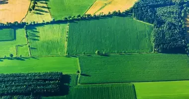 Участок земли в Ташкент, Узбекистан