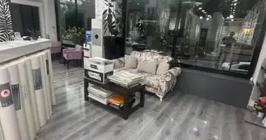 Тараса Шевченко ул.Фидокор гастрономическая улицца дуплекс 506 кв.м в Ташкент, Узбекистан