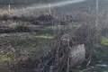 Земельные участки  Паркентский район, Узбекистан