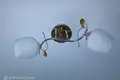 Одна комнатная квартира 