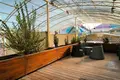 Uy 5 xonalar 300 m² Toshkentda