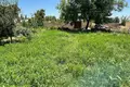 Yer  in Kipchak