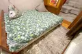 Квартира 1 комната 42 м² Канимехский район, Узбекистан