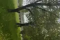 Земельные участки  Бельсен, Узбекистан