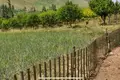 Земельные участки  Бостанлыкский район, Узбекистан