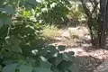 Земельные участки  Ташкент, Узбекистан