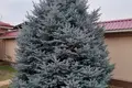 Дом 3 комнаты 5 м² Паркентский район, Узбекистан