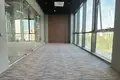 Tijorat 117 m² Toshkent