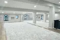 Uy 10 xonalar 800 m² Toshkentda, Oʻzbekiston